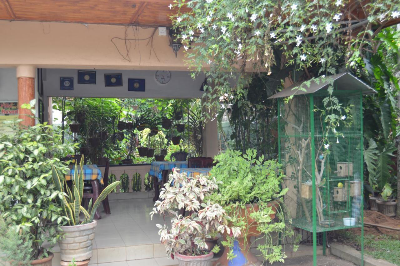 Familyhouse * Negombo